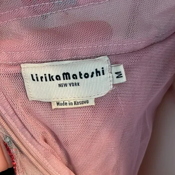 Lirika Matoshi Strawberry Sparkle Viral Tulle Dress - Picture 8 of 8